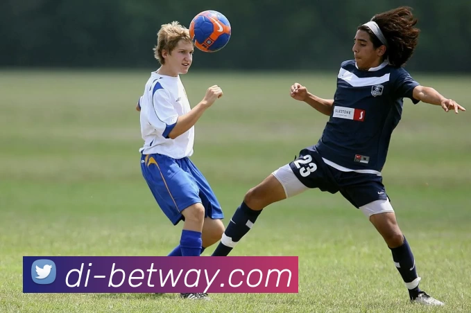 多媒体互动体验